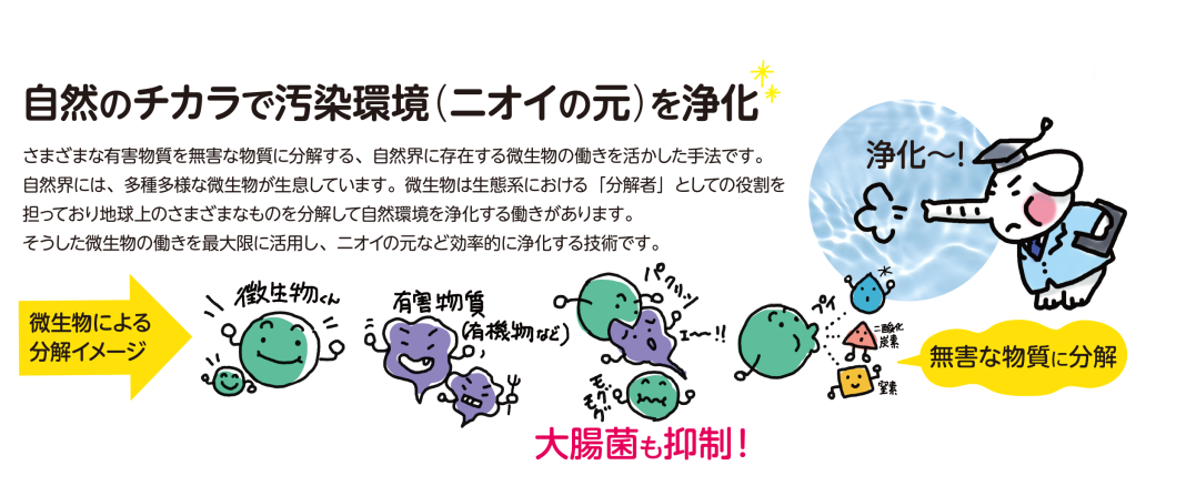 自然に優しい消臭剤! 酵素-R 500ml